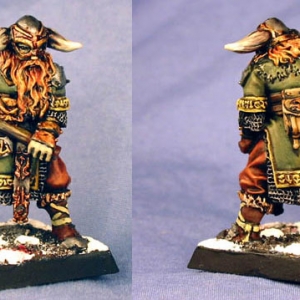 Viking Lord