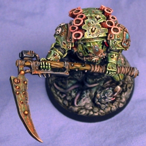 typhus4